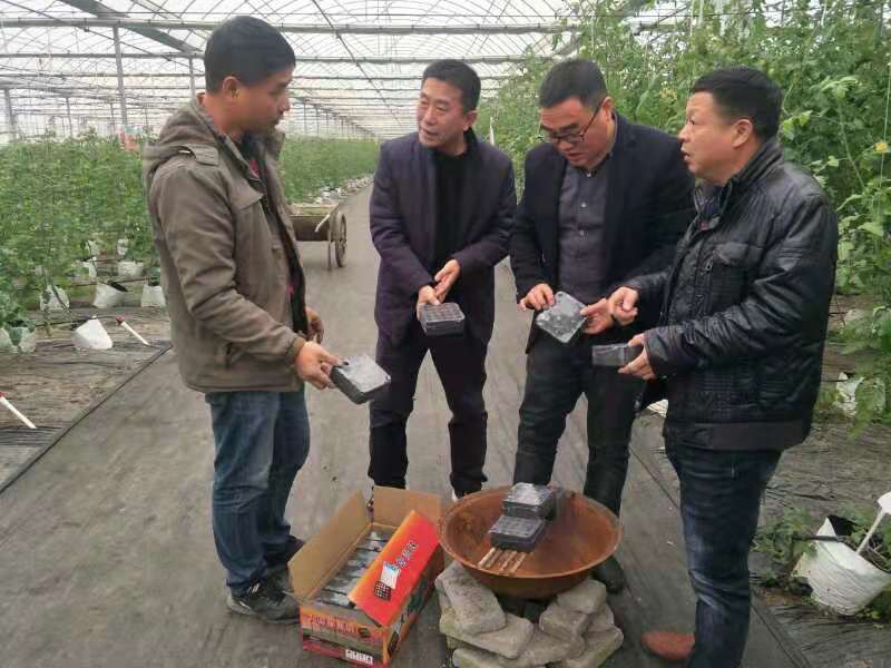 福鼎市农业农村局关于做好近期防御寒潮天气的措施